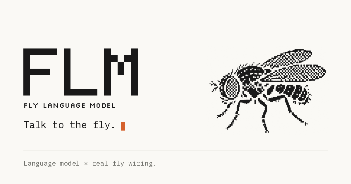FLM, Fly Language Model, with a black pixel-art fly on a warm white background
